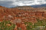 Bryce kaňon (<em>Utah, USA</em>)