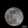 Měsíc - Úpněk (<em>Luna 2</em>)