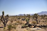 Nevada (<em>Nevada, USA</em>)