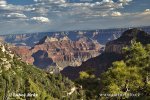 USA - Arizona (Arizona, USA)