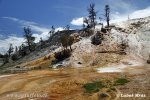 Yellowstone, NP (<em>Wyoming, USA</em>)