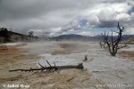 Yellowstone, NP (<em>Wyoming, USA</em>)