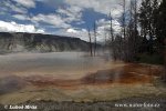 Yellowstone, NP (<em>Wyoming, USA</em>)