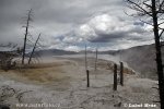 Yellowstone, NP (<em>Wyoming, USA</em>)