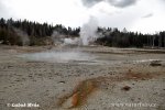 Yellowstone, NP (<em>Wyoming, USA</em>)