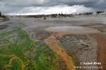 Yellowstone, NP (<em>Wyoming, USA</em>)