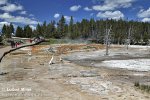 Yellowstone, NP (<em>Wyoming, USA</em>)