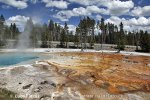 Yellowstone, NP (<em>Wyoming, USA</em>)