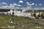 Yellowstone, NP (<em>Wyoming, USA</em>)