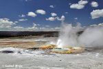 Yellowstone, NP (<em>Wyoming, USA</em>)