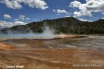 Yellowstone, NP (<em>Wyoming, USA</em>)