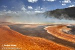 Yellowstone, NP (<em>Wyoming, USA</em>)