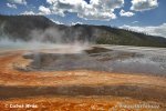 Yellowstone, NP (<em>Wyoming, USA</em>)