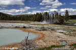 Yellowstone, NP (<em>Wyoming, USA</em>)