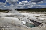 Yellowstone, NP (<em>Wyoming, USA</em>)