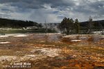 Yellowstone, NP (<em>Wyoming, USA</em>)