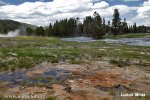 Yellowstone, NP (<em>Wyoming, USA</em>)