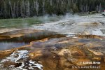 Yellowstone, NP (<em>Wyoming, USA</em>)