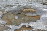 Yellowstone, NP (<em>Wyoming, USA</em>)