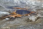 Yellowstone, NP (<em>Wyoming, USA</em>)