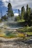 Yellowstone, NP (<em>Wyoming, USA</em>)