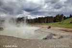 Yellowstone, NP (<em>Wyoming, USA</em>)