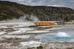 Yellowstone, NP (<em>Wyoming, USA</em>)