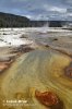 Yellowstone, NP (<em>Wyoming, USA</em>)