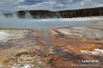 Yellowstone, NP (<em>Wyoming, USA</em>)