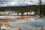 Yellowstone, NP (<em>Wyoming, USA</em>)