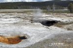 Yellowstone, NP (<em>Wyoming, USA</em>)