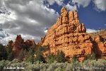 Zion, NP (<em>Utah, USA</em>)