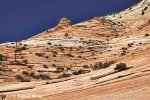 Zion, NP (<em>Utah, USA</em>)