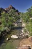 Zion, NP (<em>Utah, USA</em>)