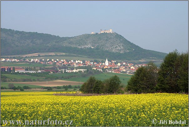 Južna Morava (JM)