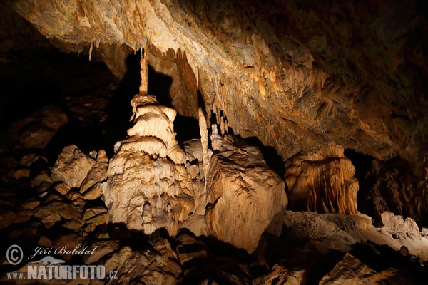 Krasová jaskyňa (Caver)