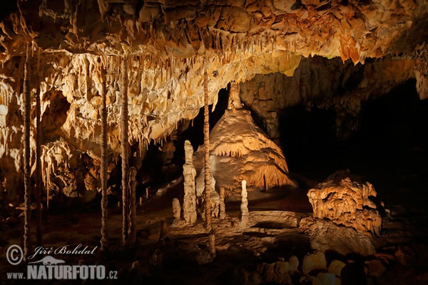 Krasová jeskyně (Caver)