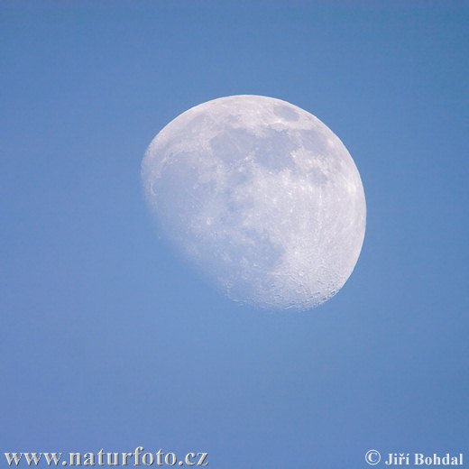 Měsíc (Luna)