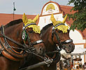 Holašovické slavnosti (Holfest)