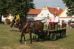 Holašovické slavnosti (<em>Holfest</em>)