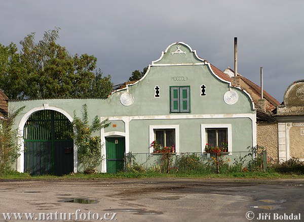 Plástovice (Arch)