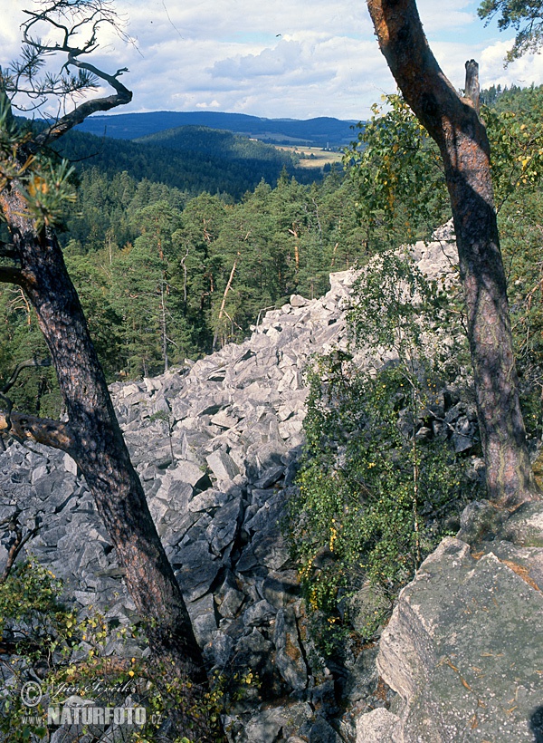 Čertova stěna (Sum)