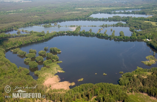 Chlumské rybníky (AIR)