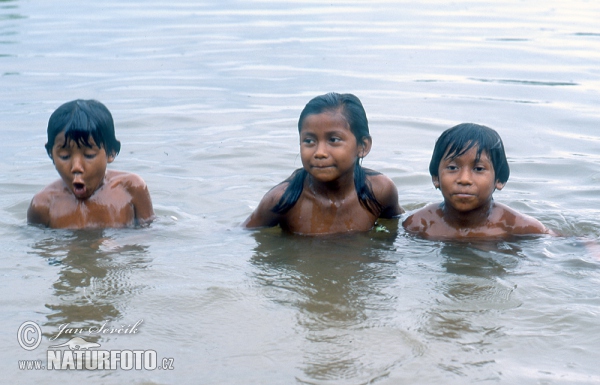 Děti v deltě Orinoka (People)