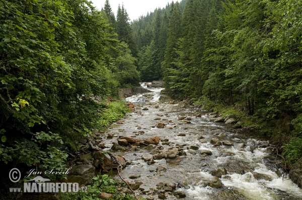 Krkonoše Labe (Krk)