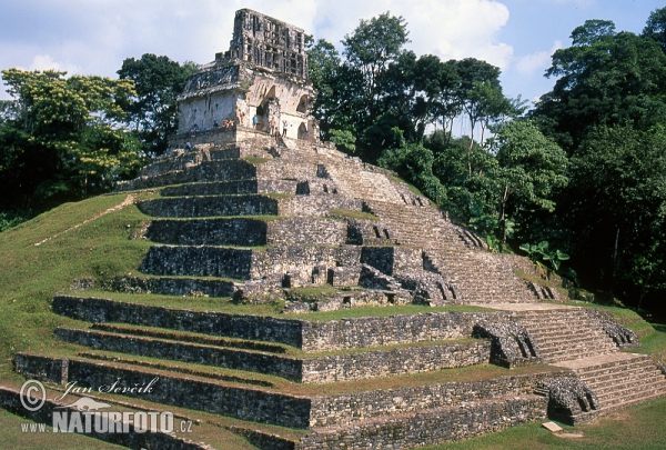 Mayské město Palenque (MEX)