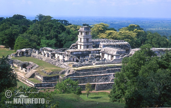 Mayské město Palenque (MEX)