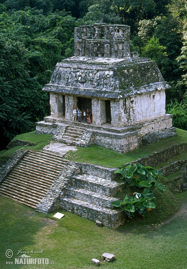 Mayské město Palenque (MEX)