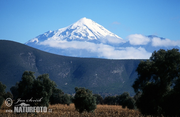 Mexiko (MEX)