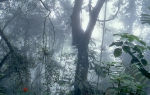 Horský deštný les (<em>VA</em>)